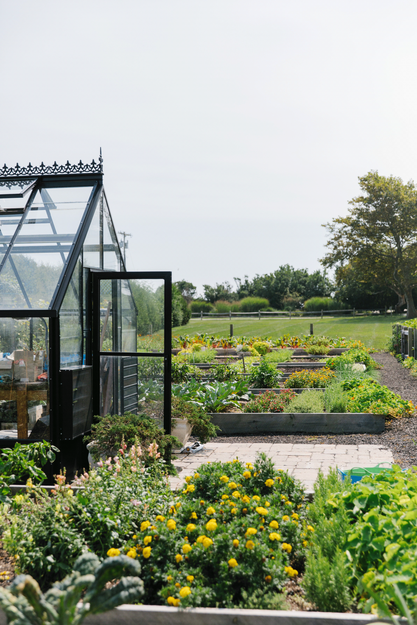 Greenhouse with open door in a vibrant garden under a clear sky.