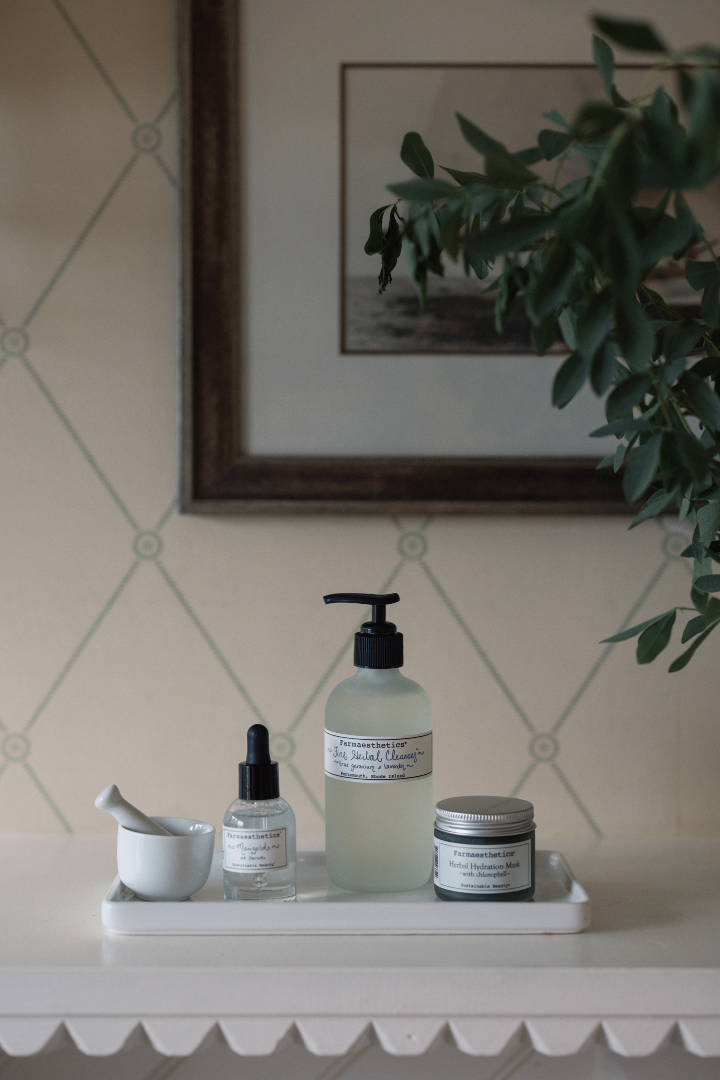 Skincare products on a shelf with a plant and framed art in the background.