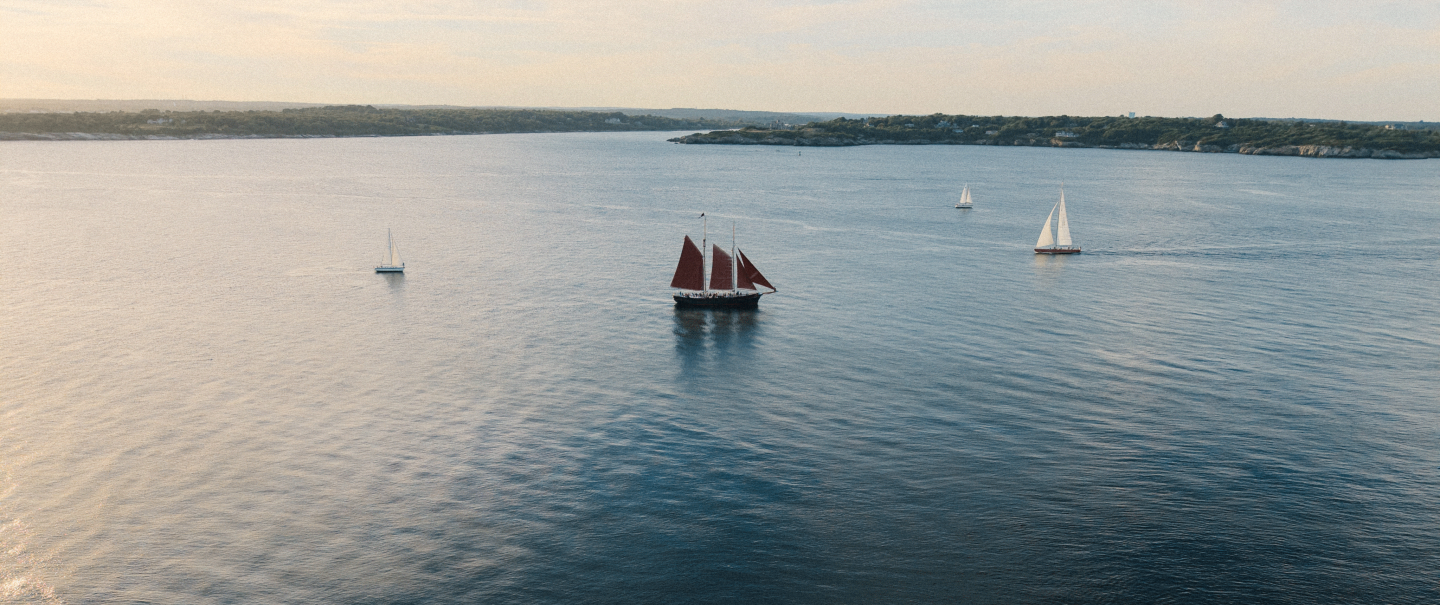 Sailboats on a calm lake under a soft evening sky.