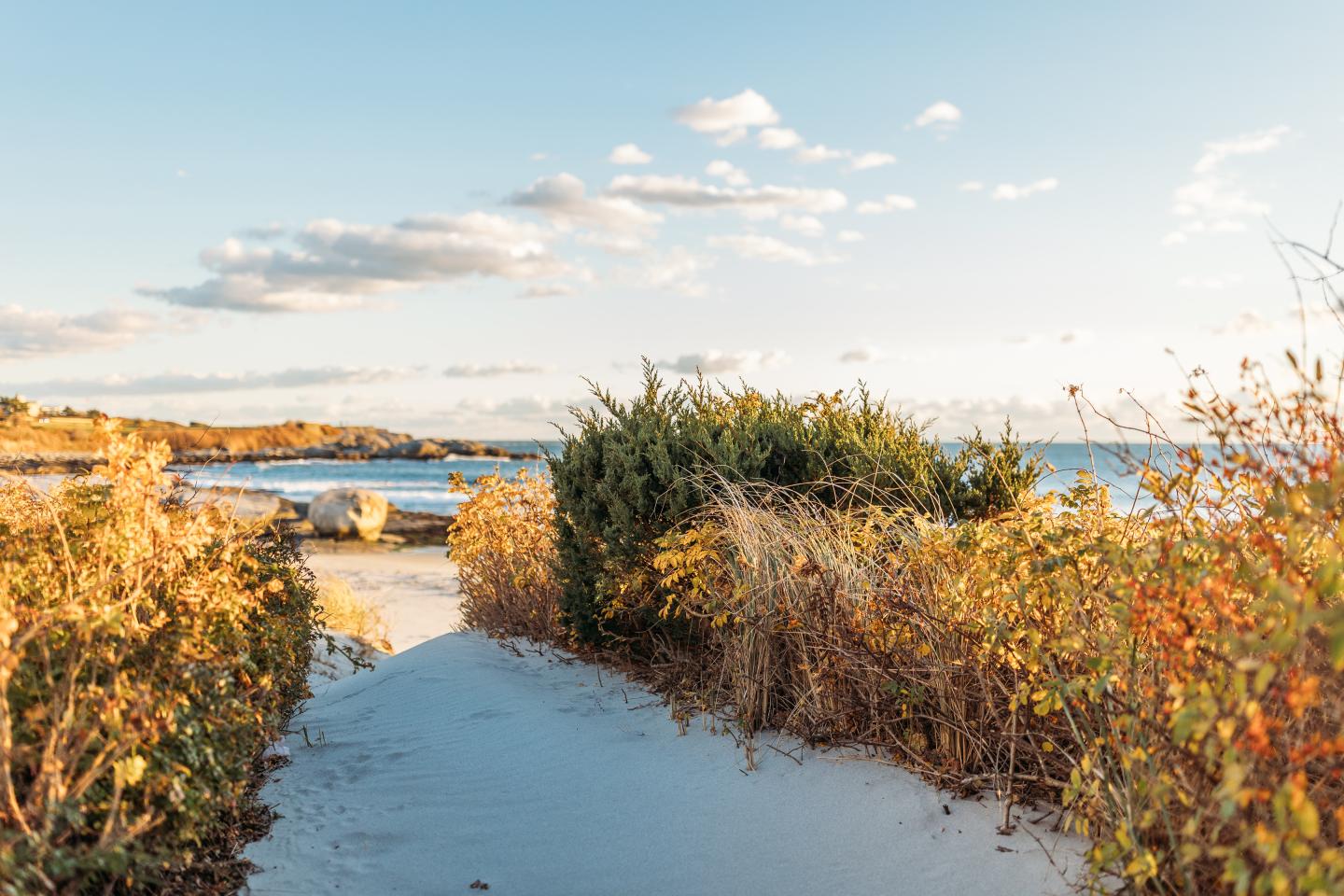 Pathway through dunes to a sunny beach with blue sky.