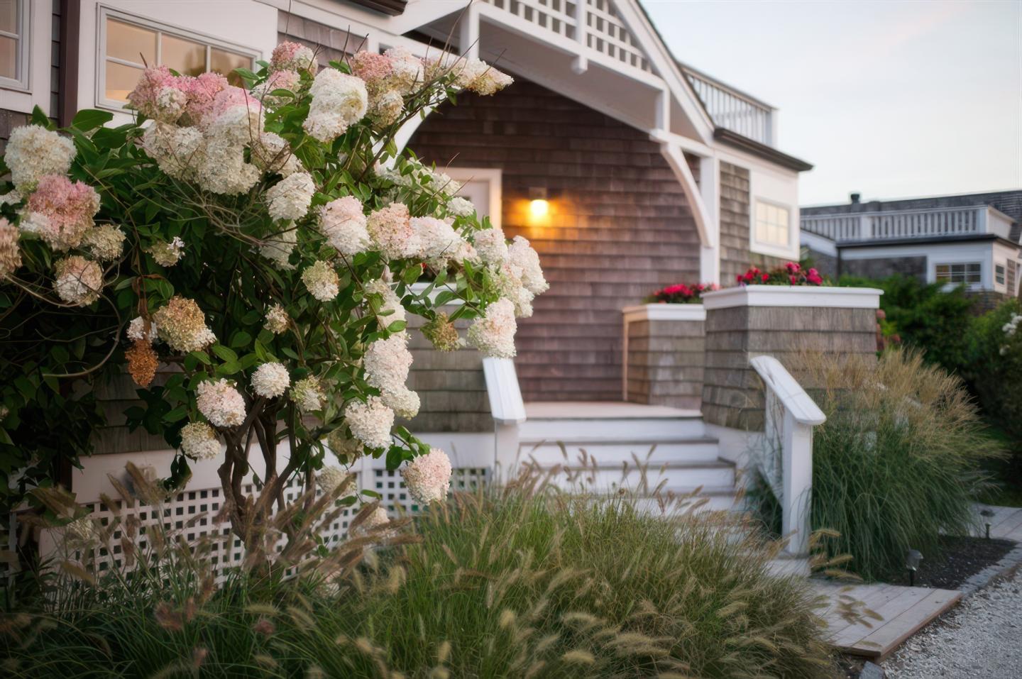 Steps leading to a cozy house with blooming hydrangeas and soft evening light.