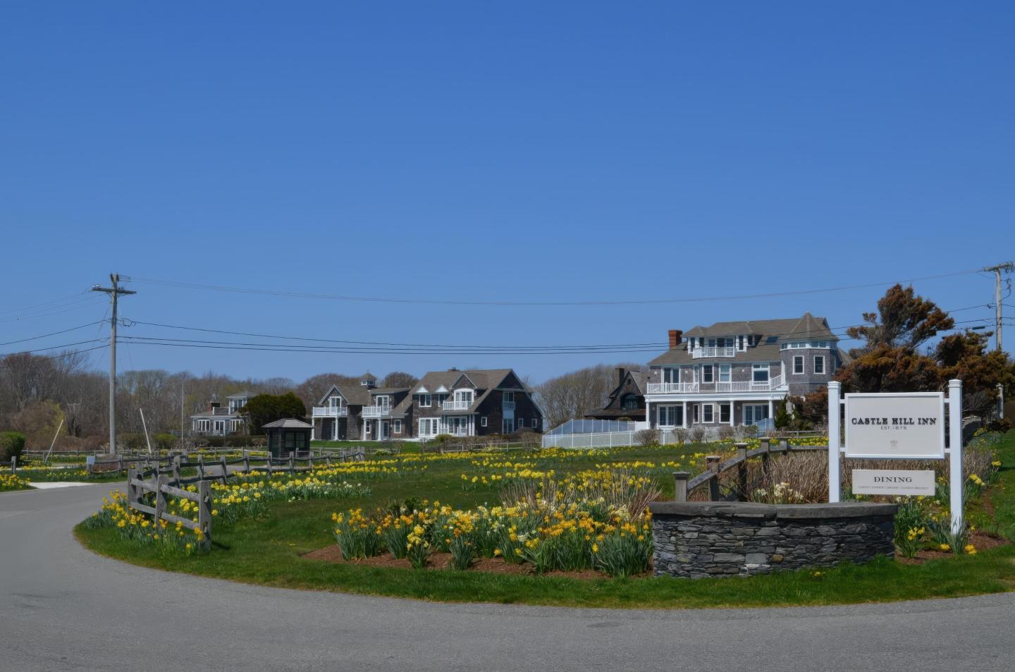 Curved road with yellow flowers, houses in background under blue sky.
