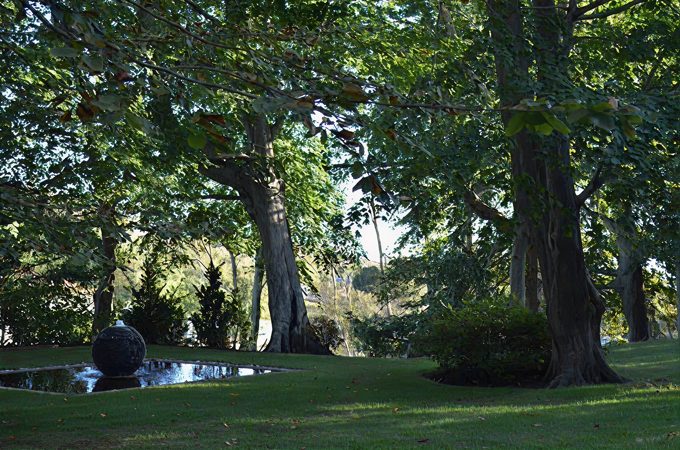 Shaded park with trees and reflective pond, featuring a large dark sphere sculpture.