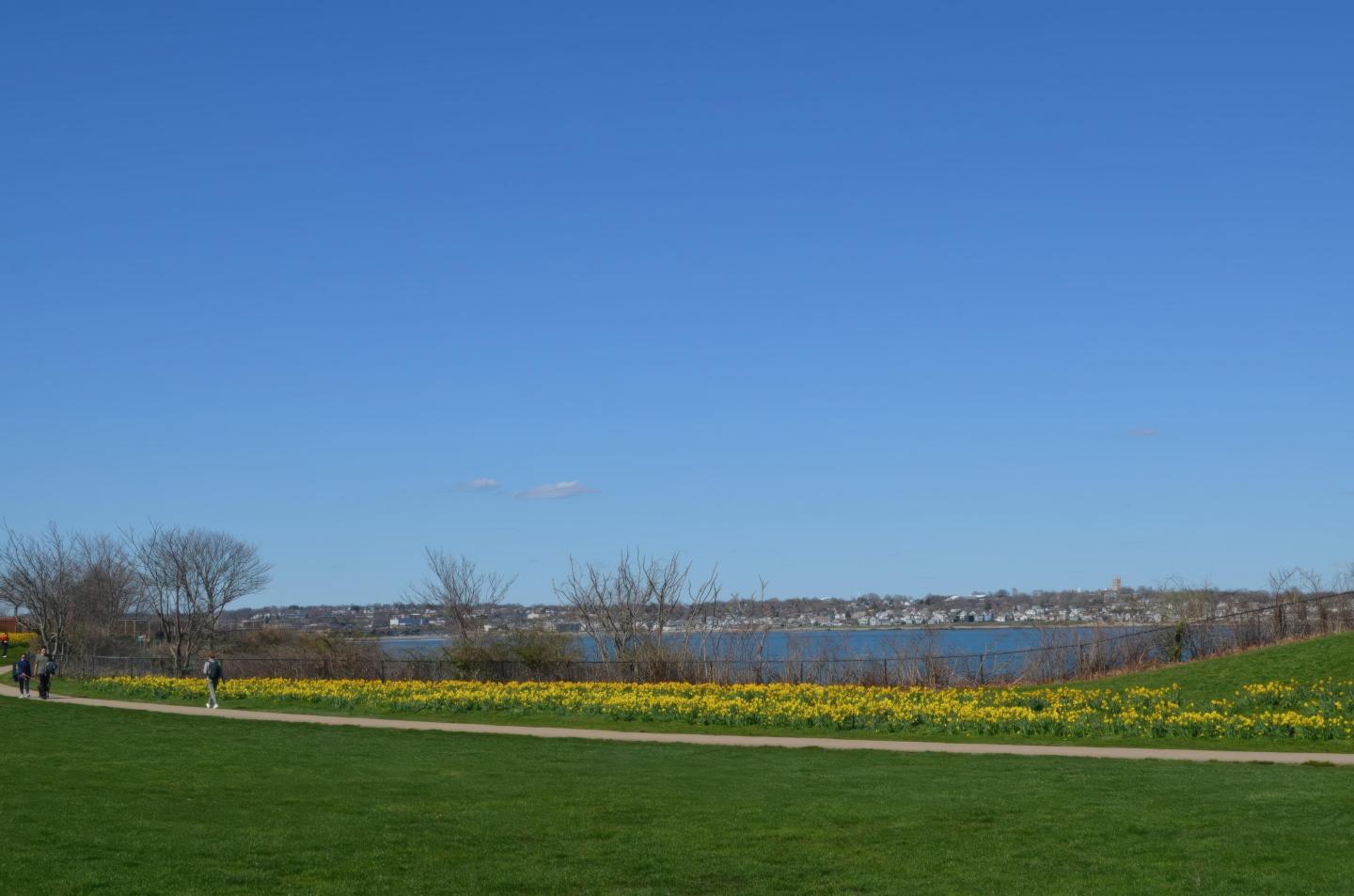 Wide blue sky over a grassy field with a path and yellow flowers by a lake.