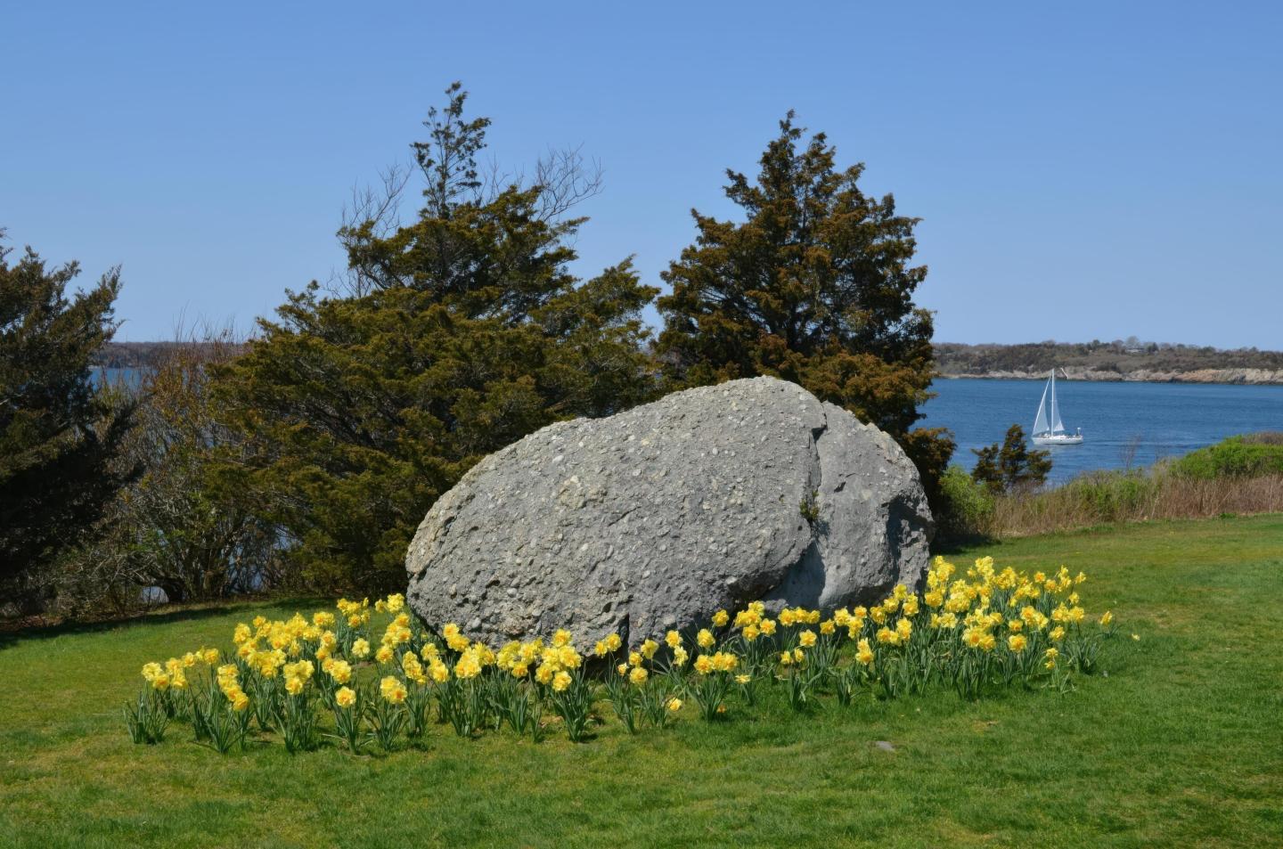 Stone surrounded by yellow flowers by the sea, with trees and sailboat in the background.