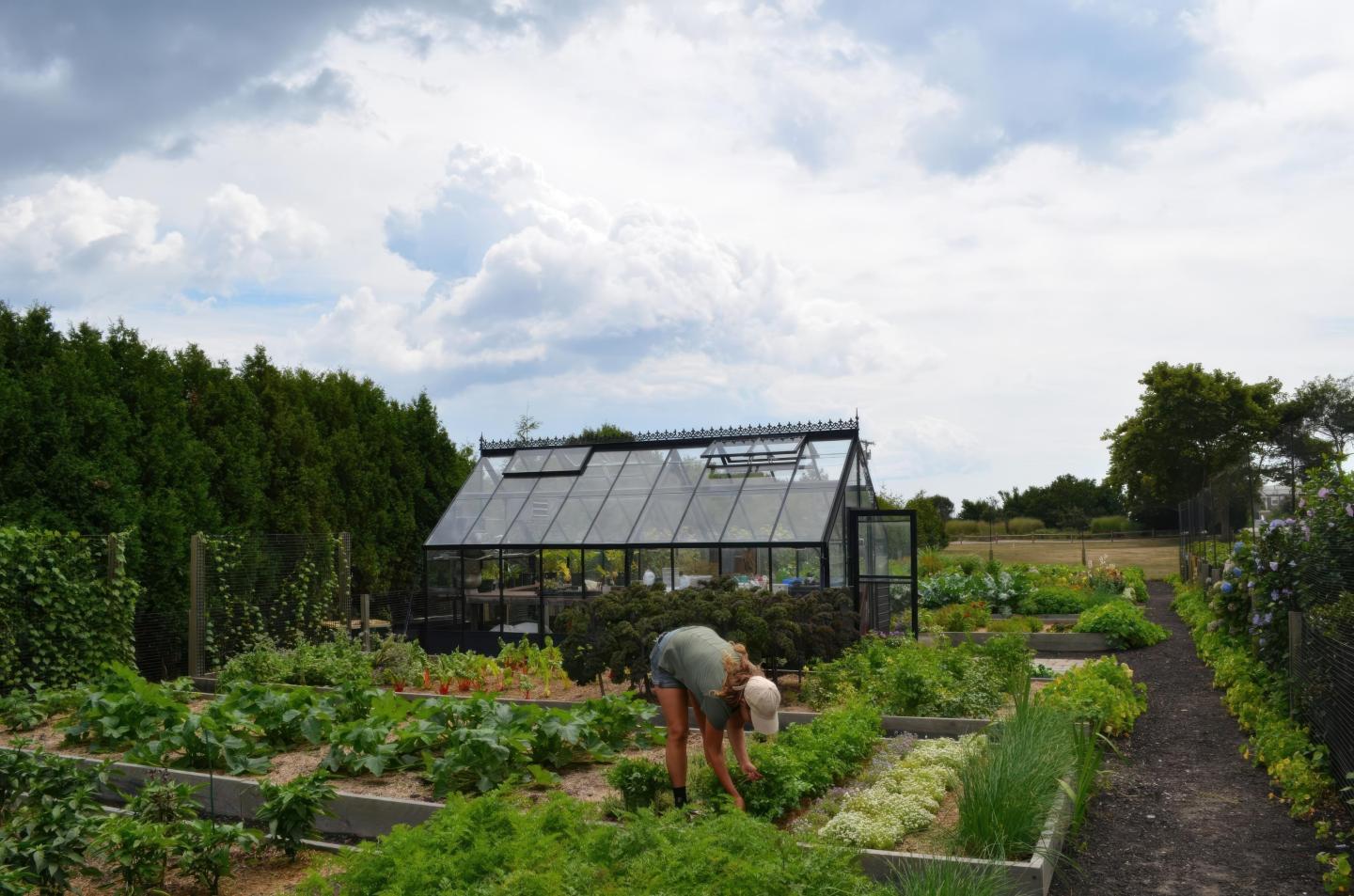 Person gardening near a greenhouse under a cloudy sky.