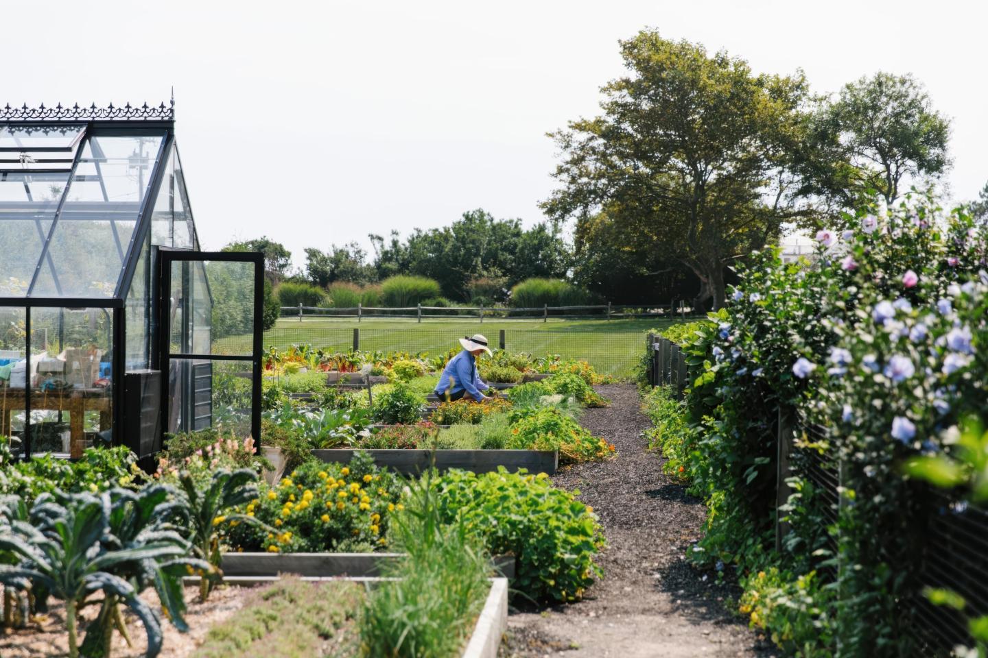Gardener tending plants near a greenhouse in a lush garden.