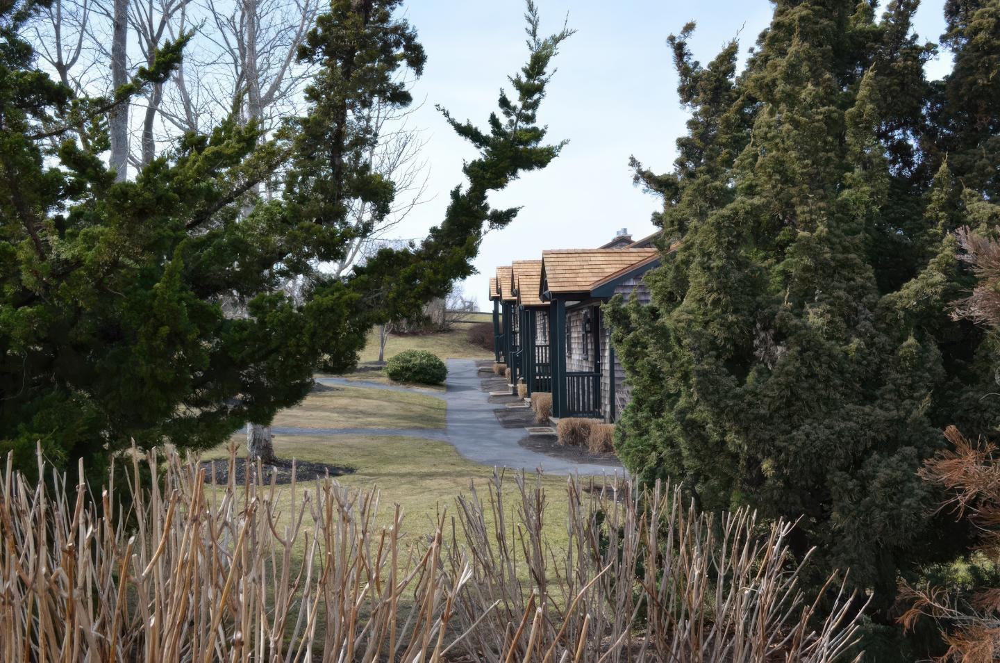 Pathway lined with trees, leading to a house with a thatched roof.