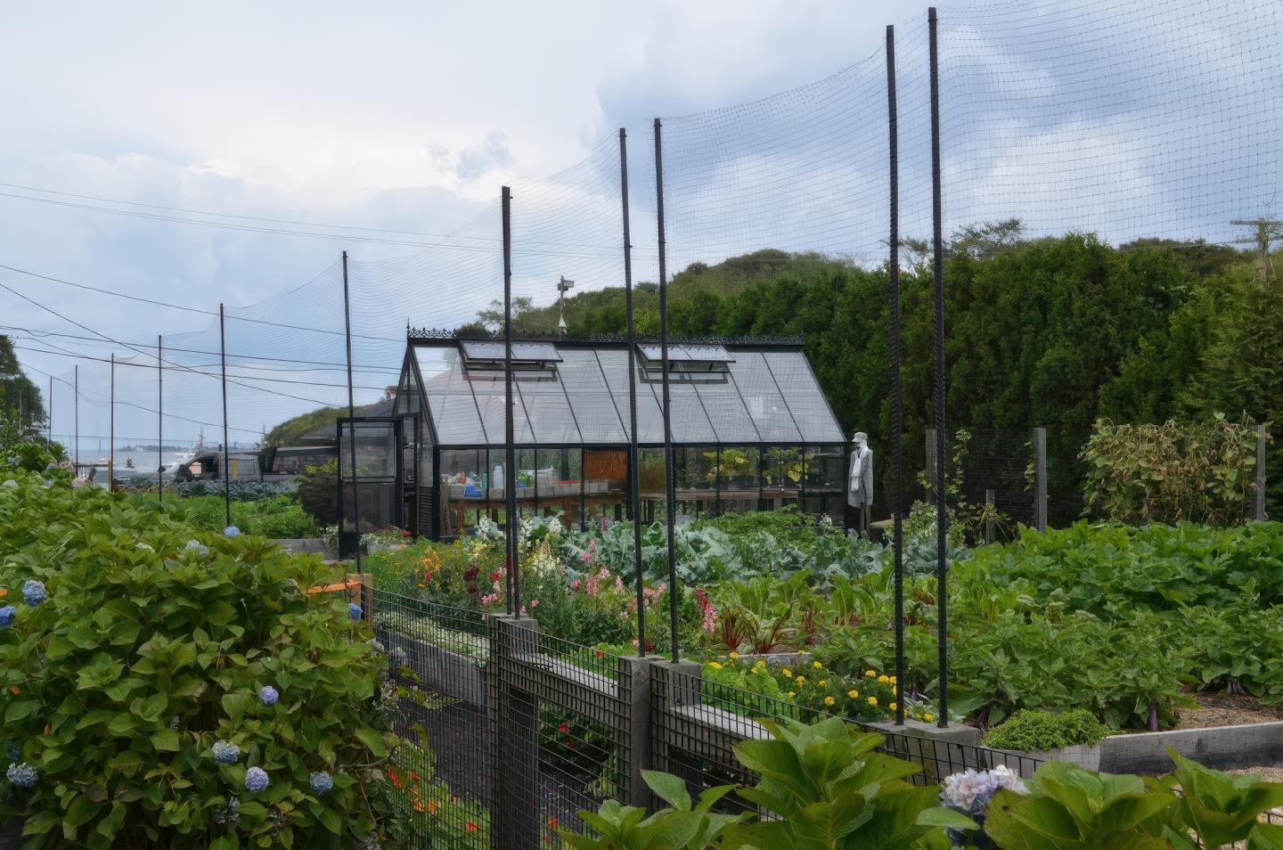 Vegetable garden with greenhouse under cloudy sky.
