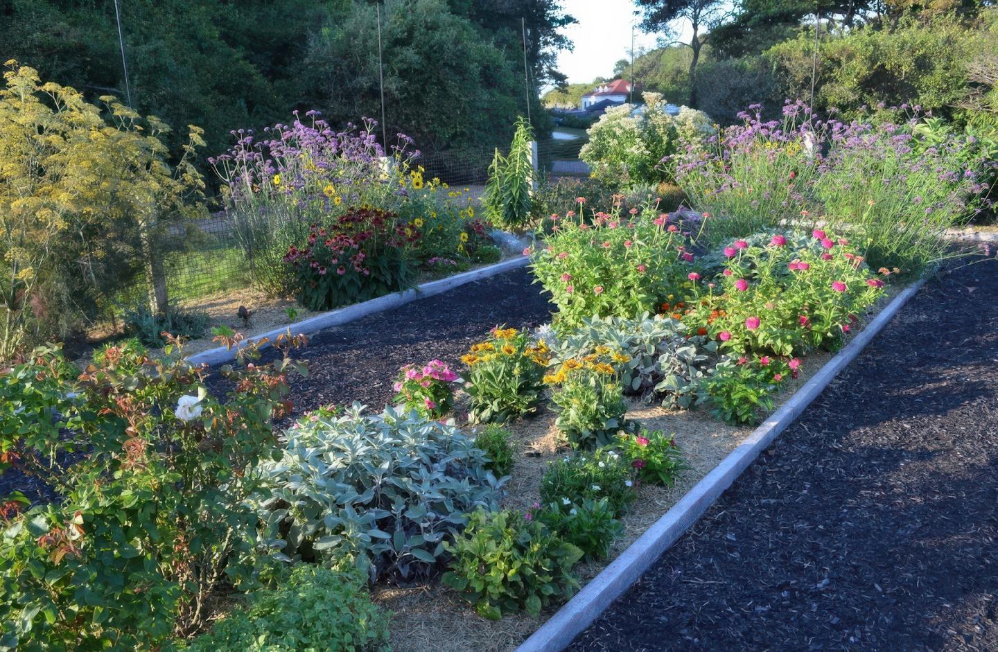 Colorful flower beds in a landscaped garden setting.