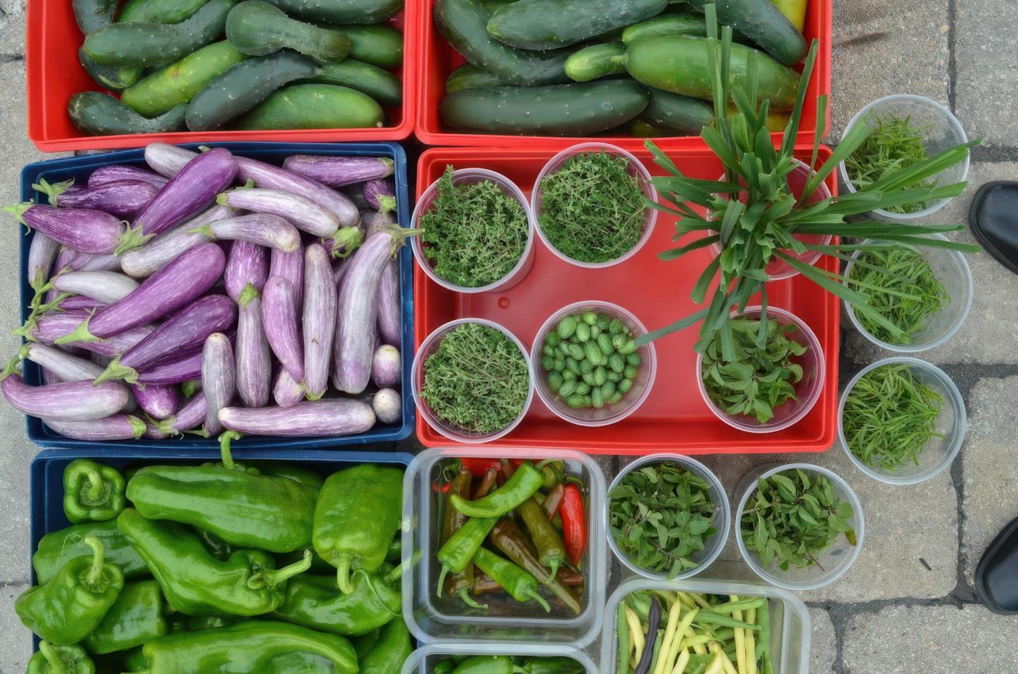 Fresh vegetables and herbs in trays and cups on a stone surface.