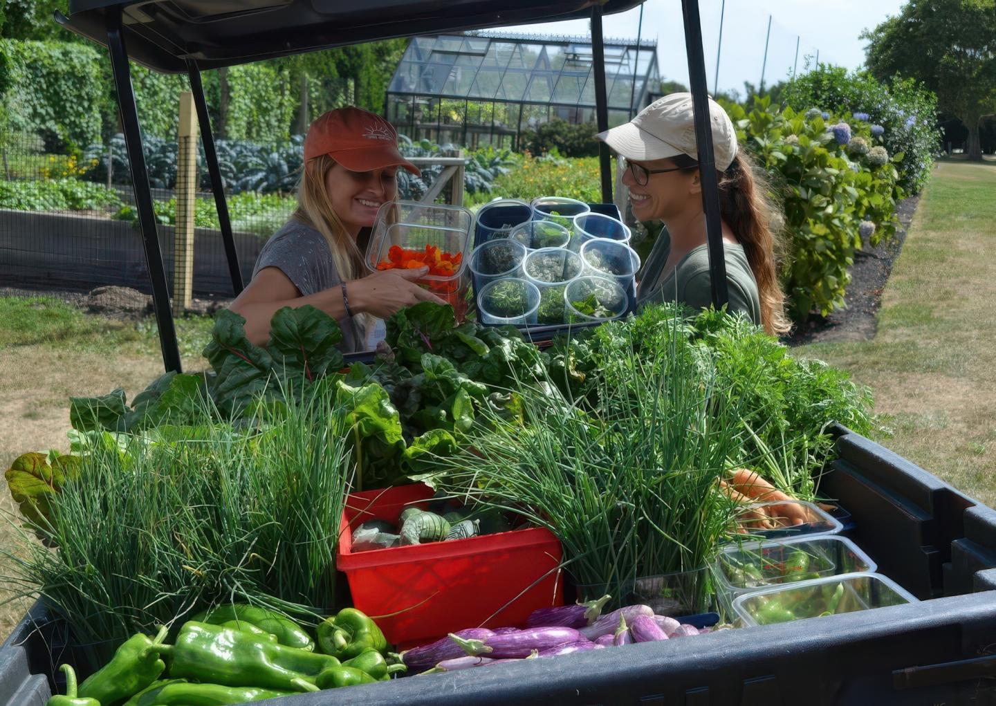 Two people smile behind a cart filled with fresh vegetables in a garden.