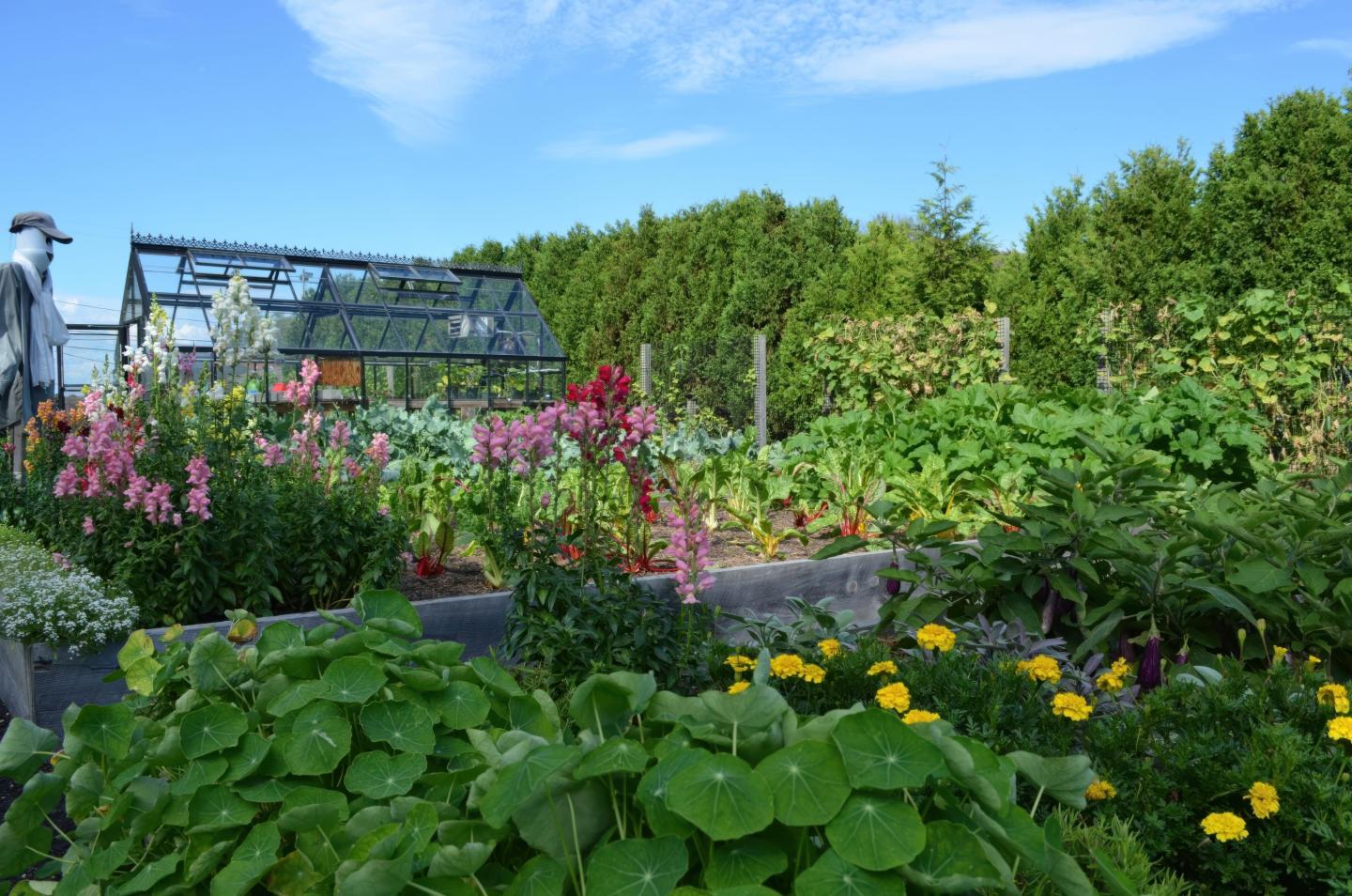 Lush garden with flowers, greenery, and a glass greenhouse under a blue sky.