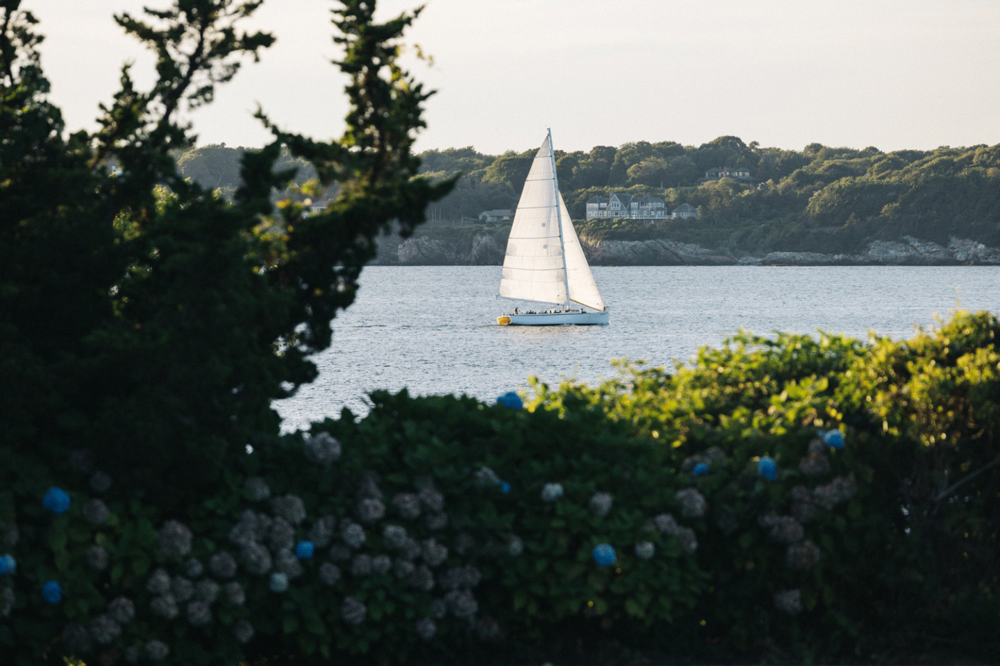 Sailboat on a calm sea with lush green trees in the foreground.