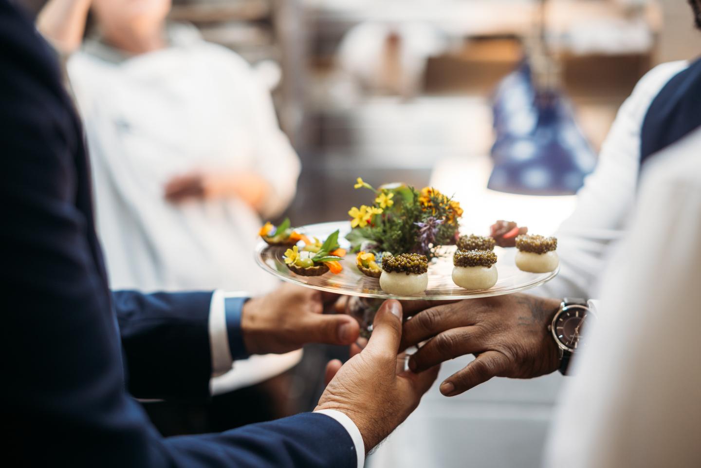 Chef presenting gourmet appetizers on a tray.