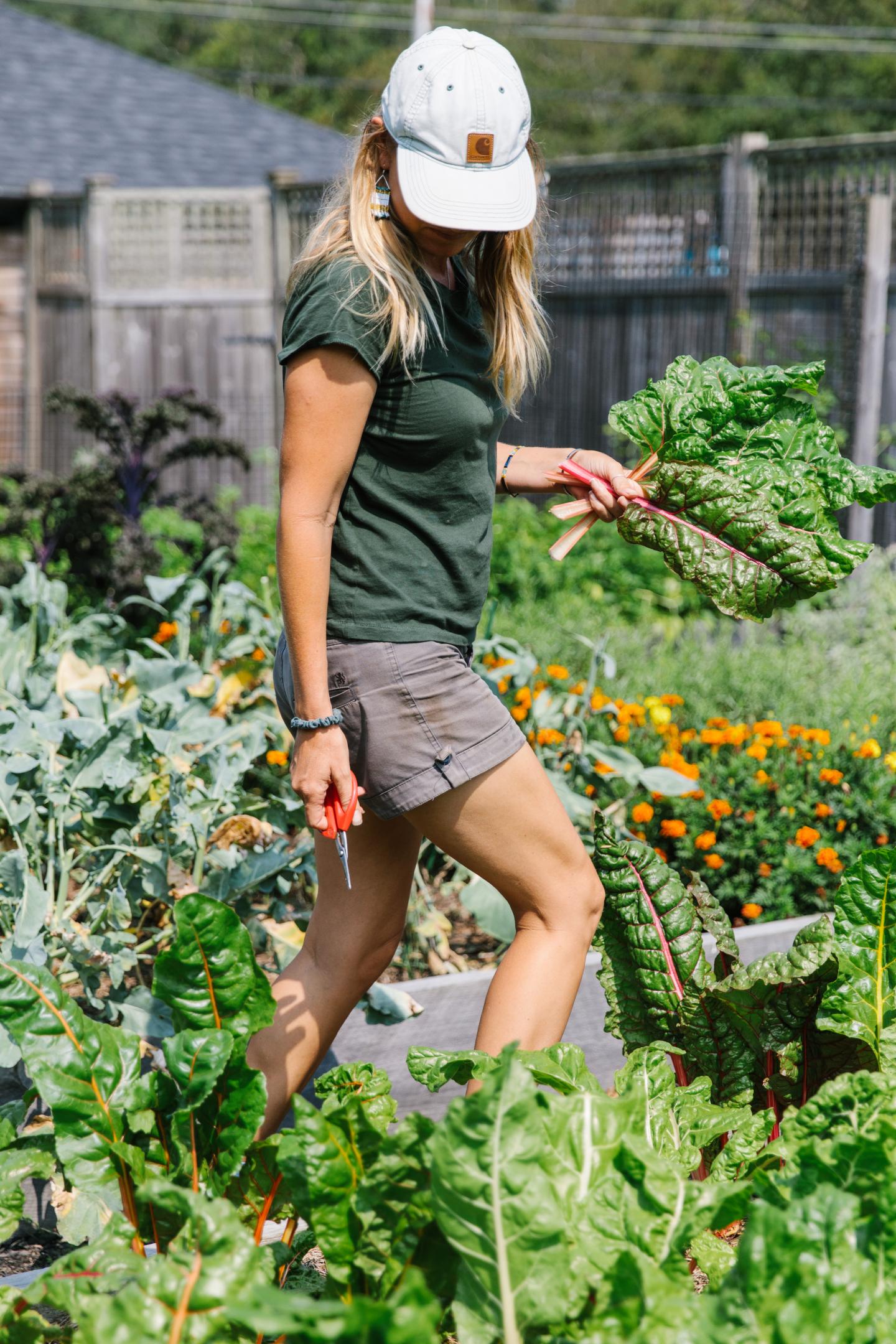 Gardener holding leafy greens, walking through a vibrant garden.
