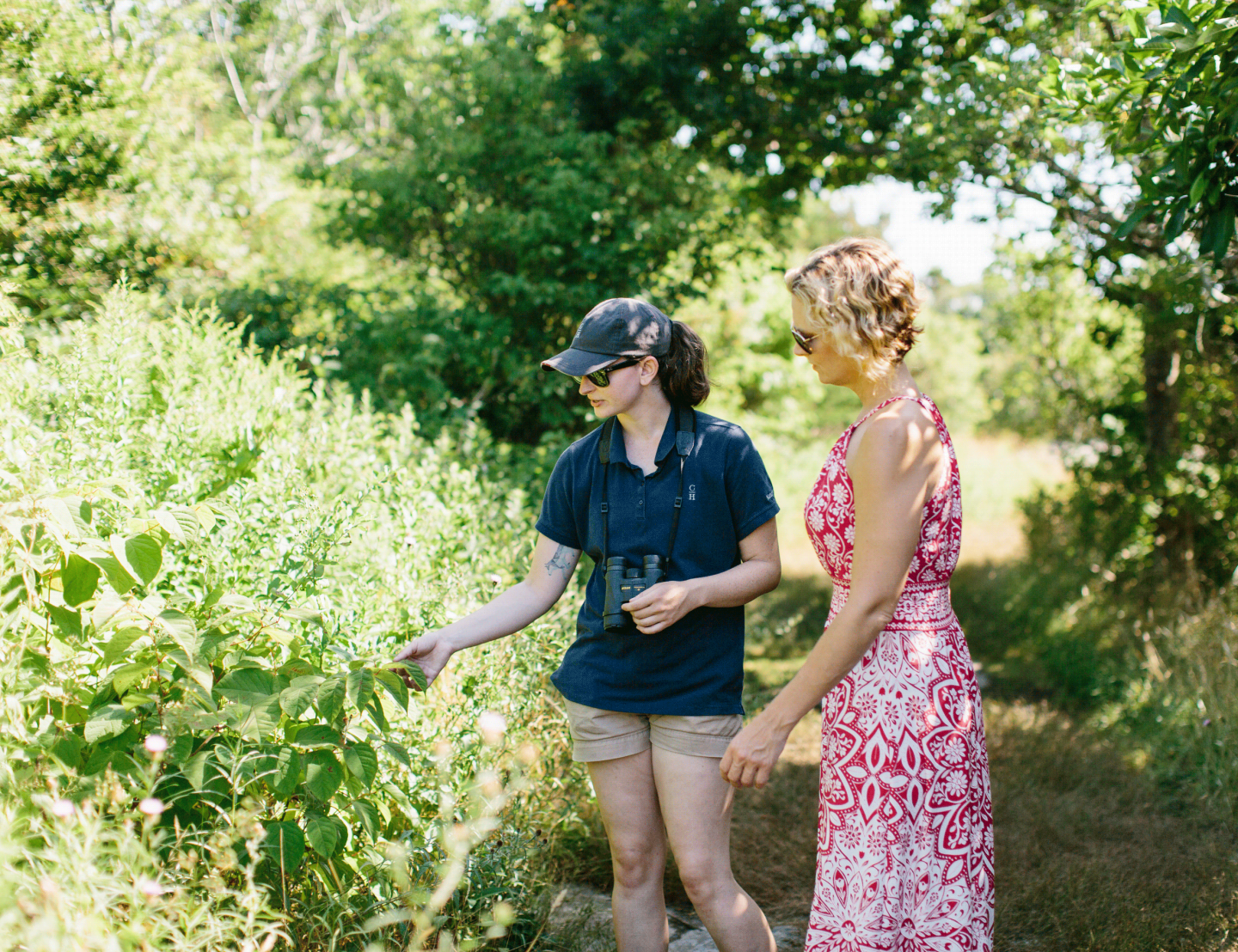 Two women in a sunny garden, observing plants.