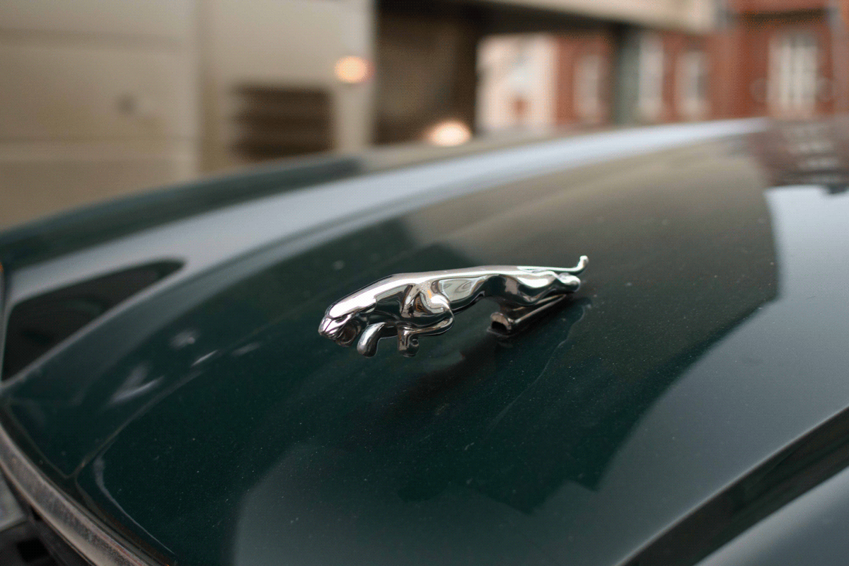 Silver jaguar hood ornament on a glossy dark green car.