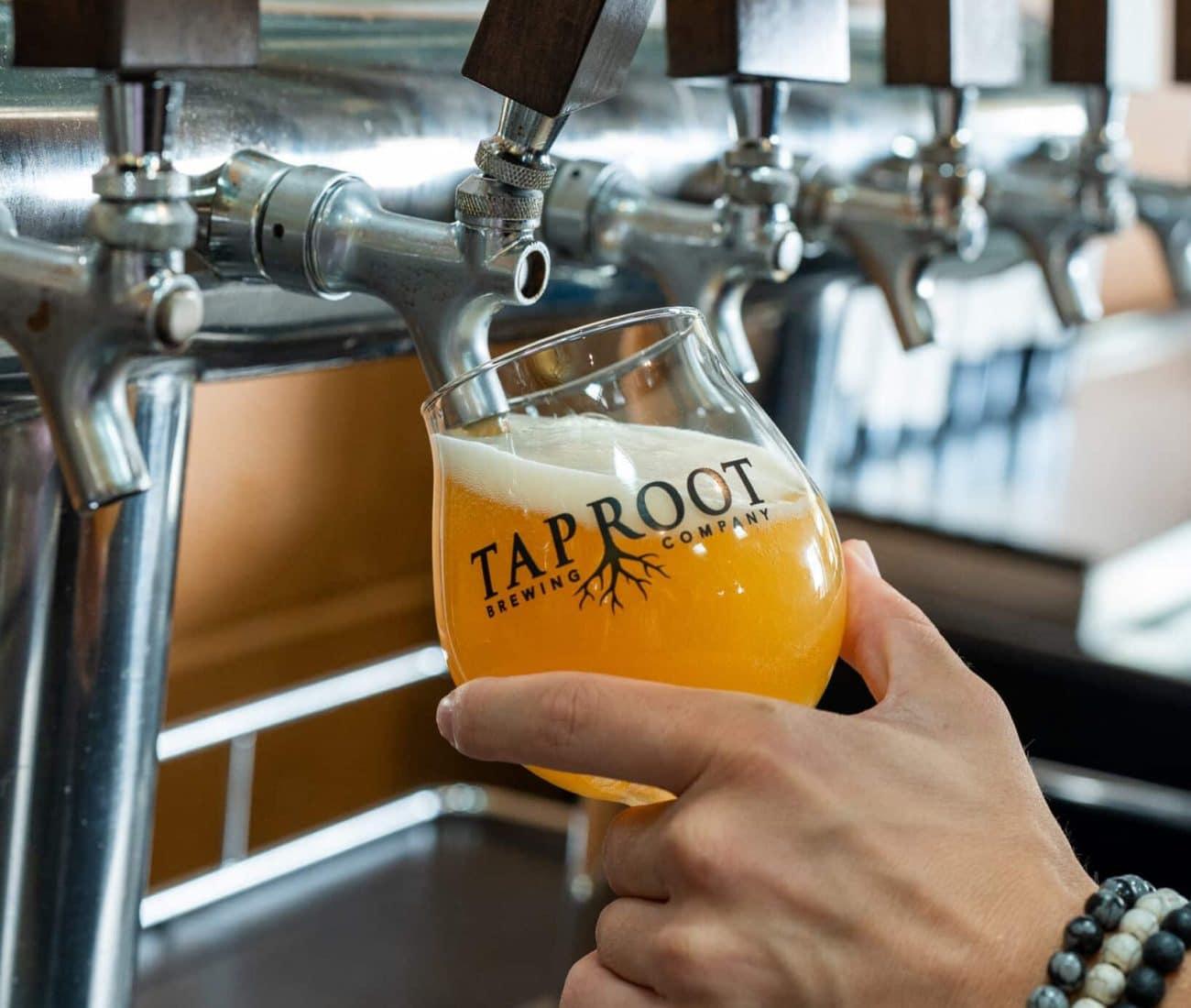 Hand pouring beer from a tap into a glass labeled "Taproot."