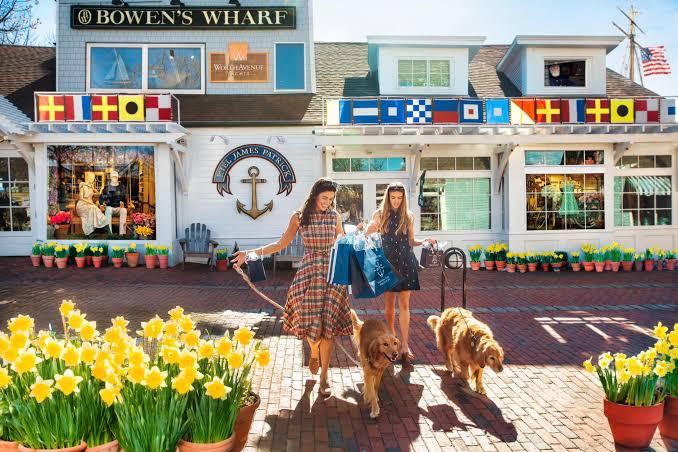 Two women with shopping bags walk two dogs past a shop, surrounded by yellow flowers.
