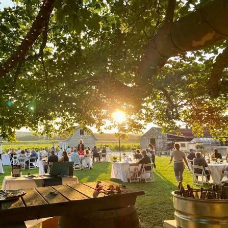 Outdoor gathering under trees at sunset, tables set on green lawn.