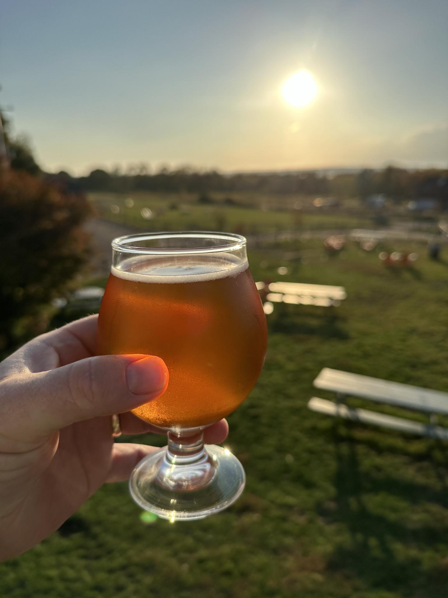 Hand holds a glass of beer outdoors with a sunny field in the background.