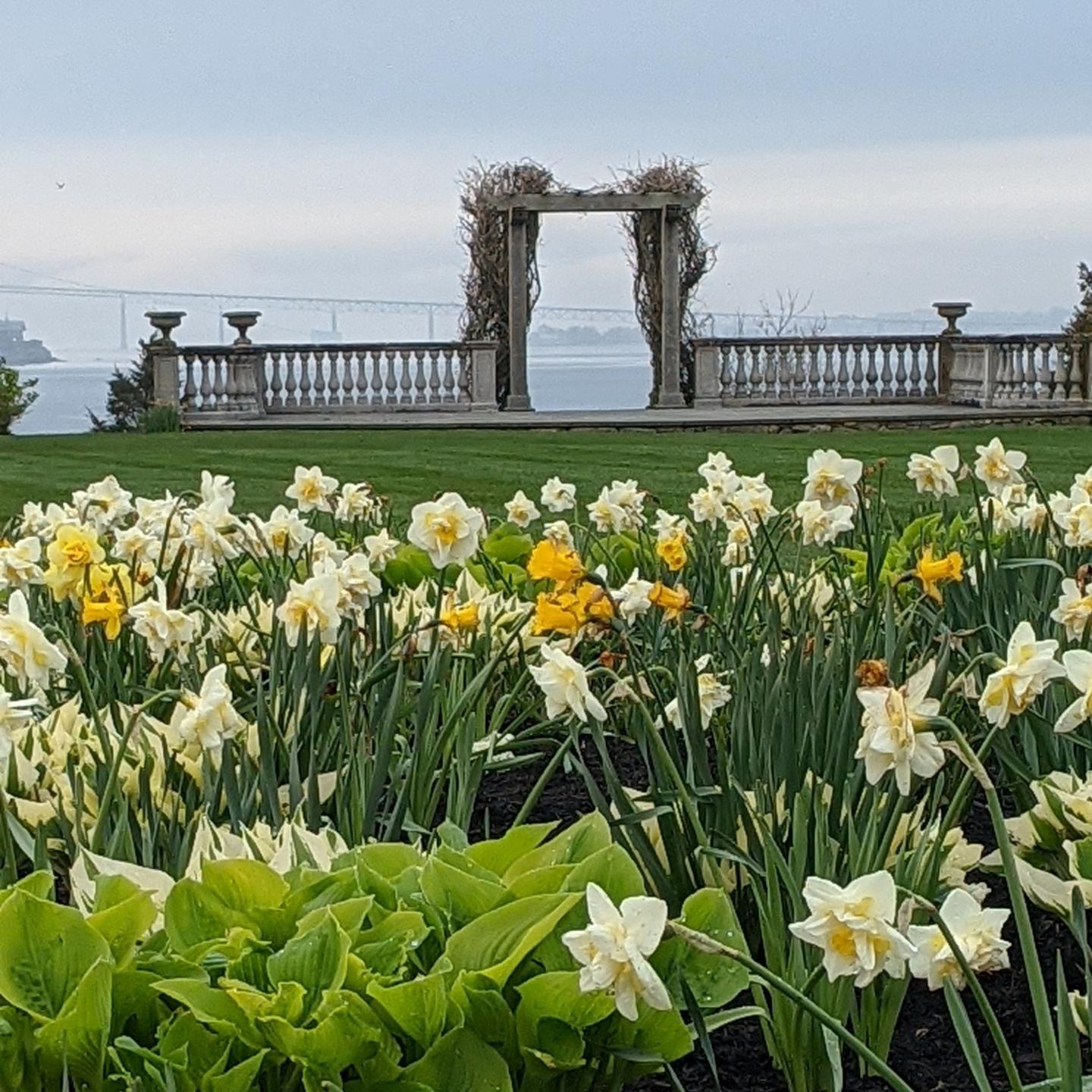 This East Coast City Is Covered With More Than 1 Million Daffodils Every Spring — Here’s When to See Them in Bloom