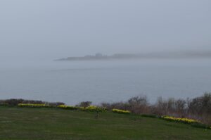 Fog over the water looking out from The Lawn