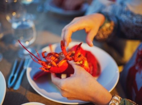 Person eating lobster on top of white plate at Castle Hill Inn in Newport, RI