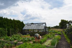 Maddie tends the garden, greenhouse in background
